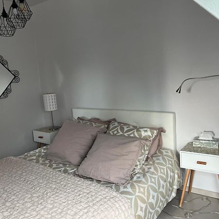 Niederhausbergen Studio Strasbourg מראה חיצוני תמונה